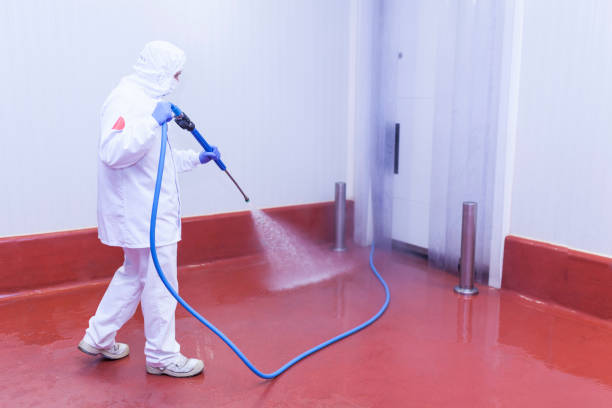 Best Rust Removal  in Emigration Canyon, UT