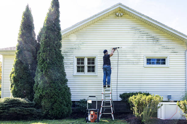 Best Gutter Cleaning  in Emigration Canyon, UT